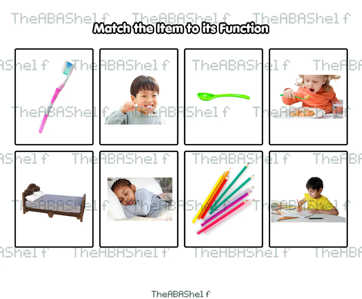 Watermarked preview of Match Item to Function Cards