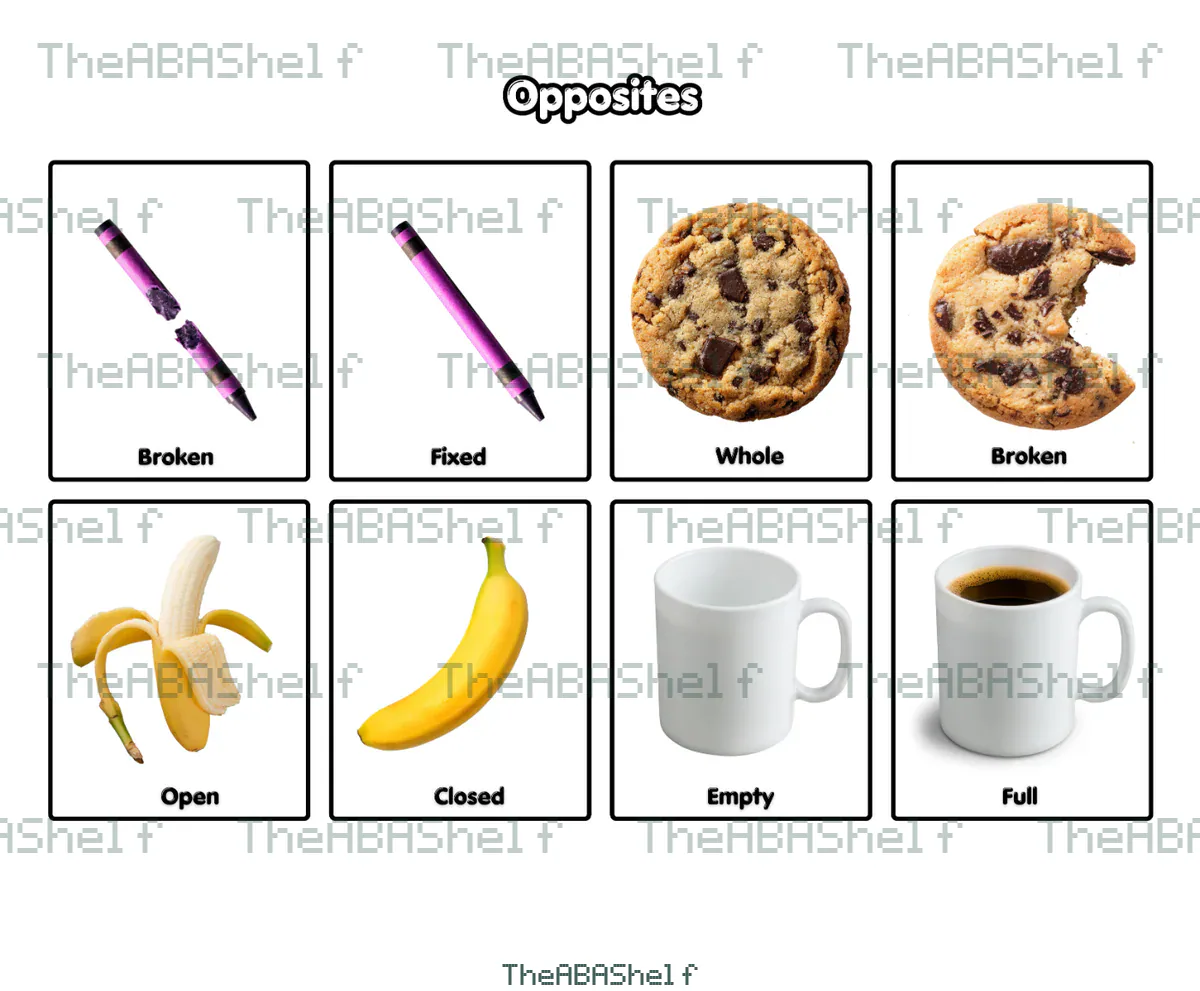 Watermarked preview of Opposites Matching Cards