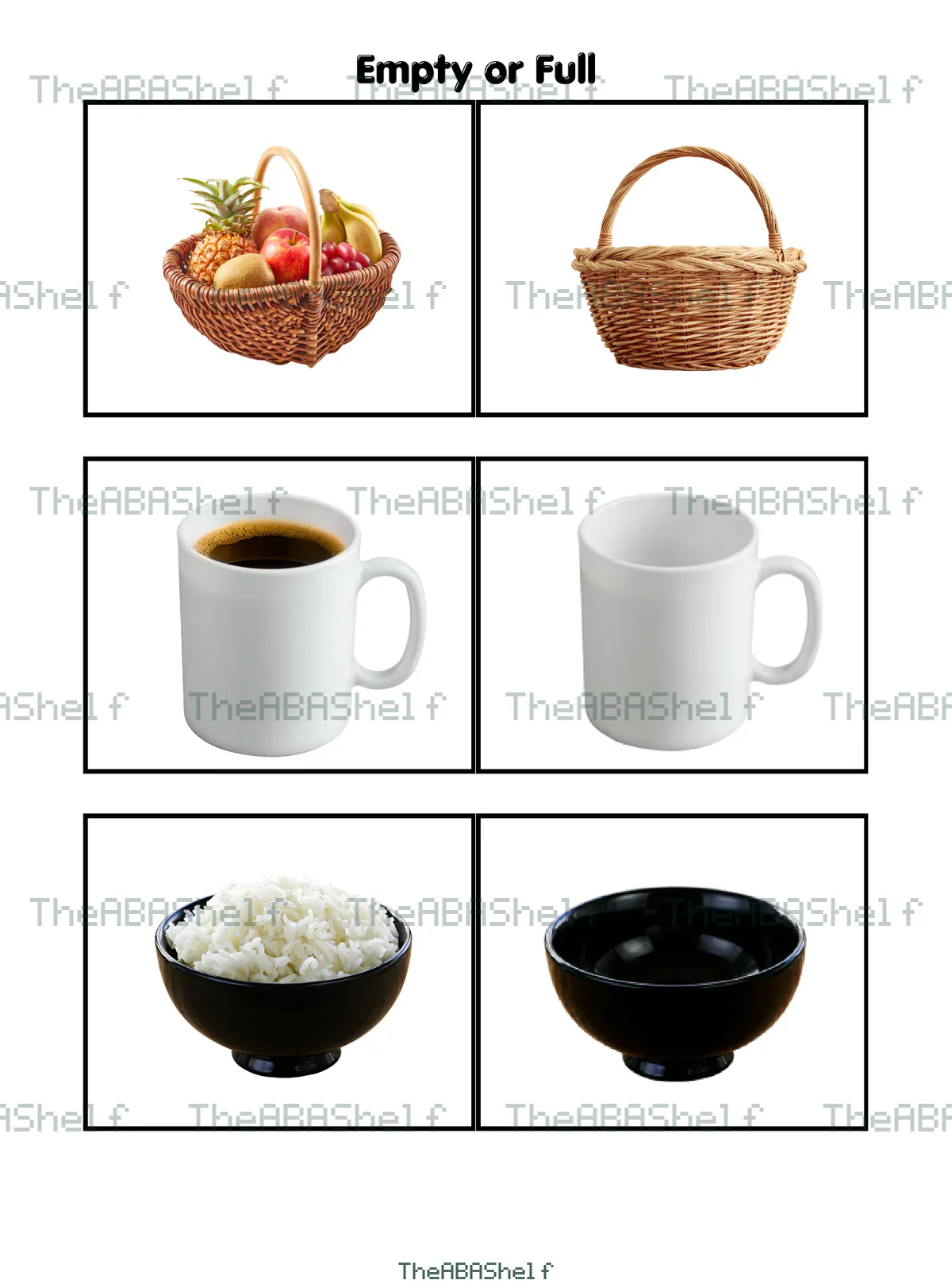 Watermarked preview of Quantity Concepts: Empty or Full