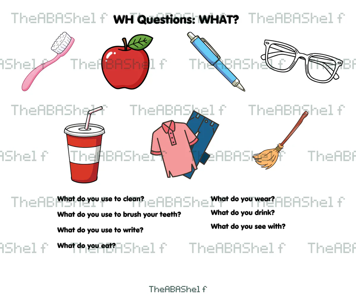 Watermarked preview of WH Questions: What Questions